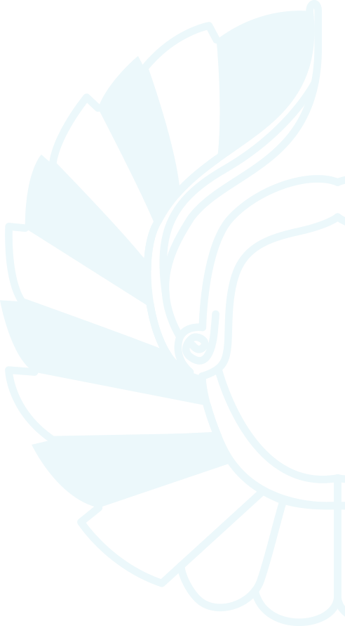 What is womenleap?